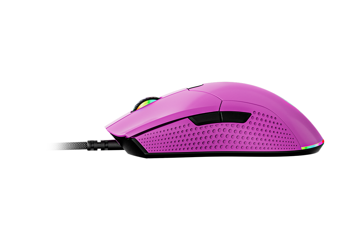 Aurora Púrpura Austral